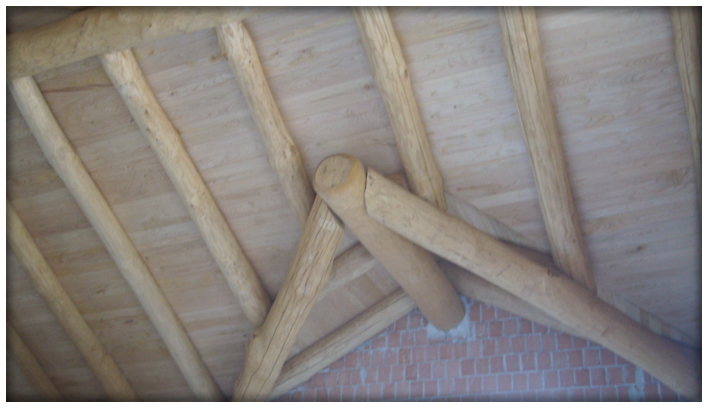 prodotti/tetti_in_legno/Tetti-in-Castagno-6.jpg